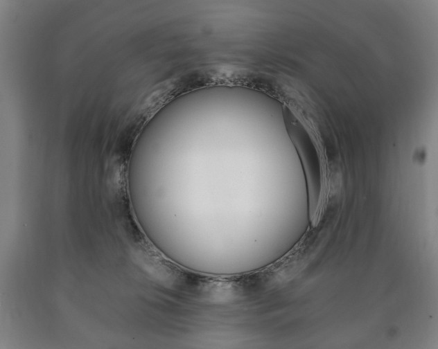 X0000090900276200707301017