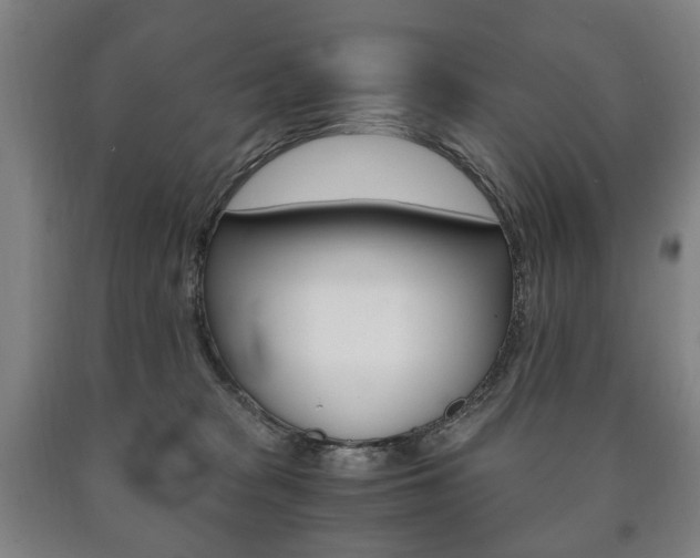 X0000090900277200707301017