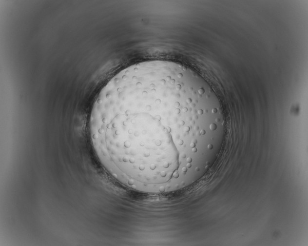 X0000090900278200707301017