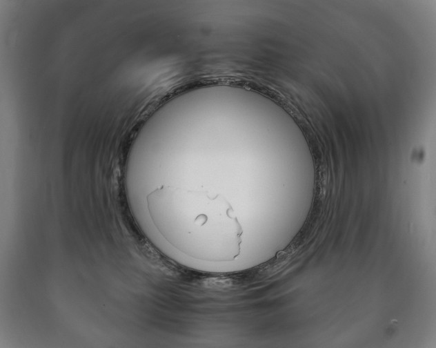 X0000090900279200707301017