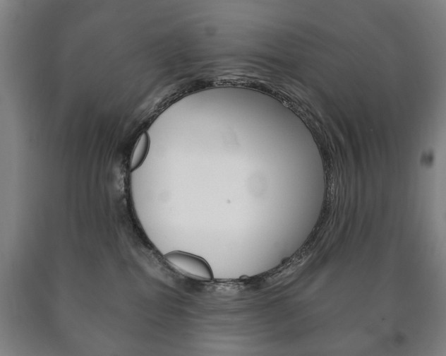 X0000090900282200707301017