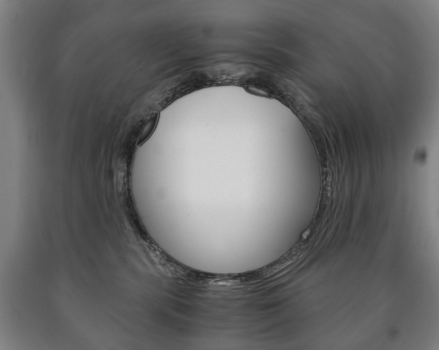 X0000090900283200707301017