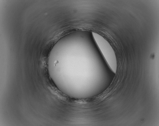X0000090900284200707301017
