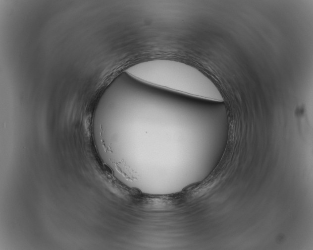 X0000090900286200707301018