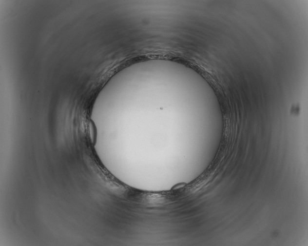 X0000090900287200707301018