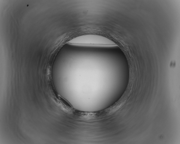 X0000090900288200707301018