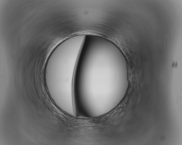 X0000090900289200707301017