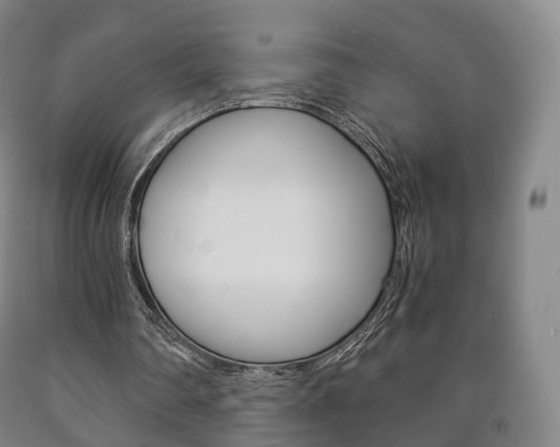 X0000090900290200707301017