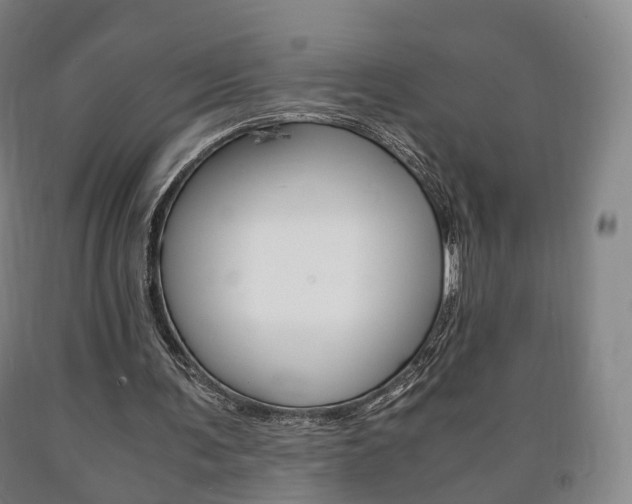 X0000090900291200707301017