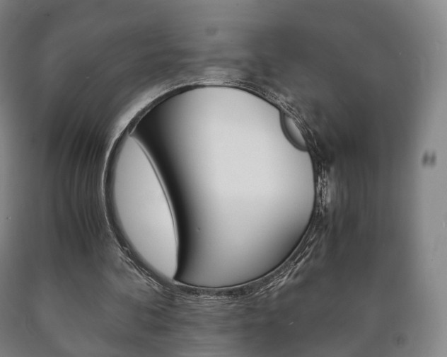 X0000090900292200707301017