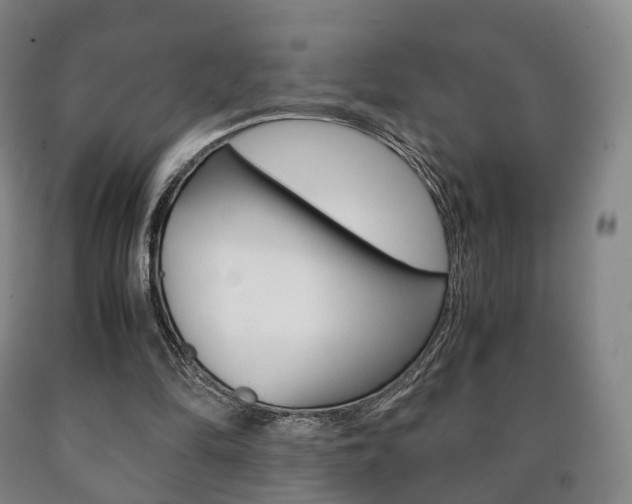 X0000090900294200707301017