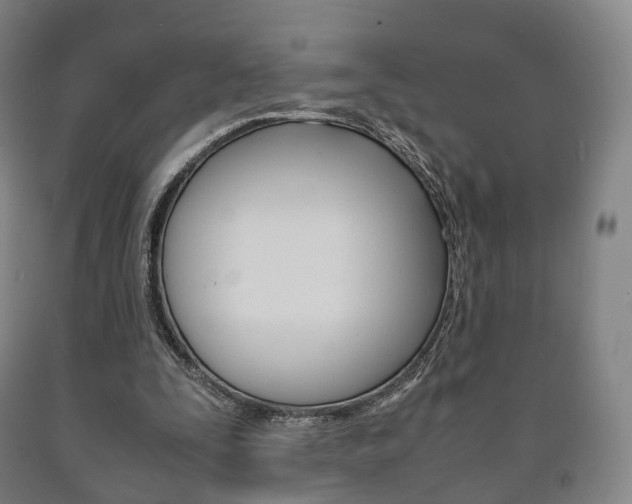 X0000090900295200707301017
