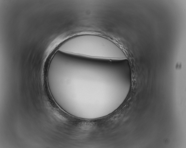 X0000090900296200707301017