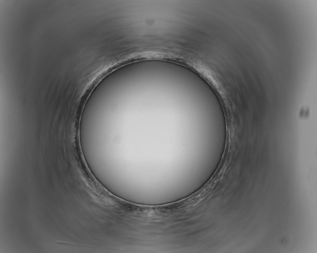 X0000090900297200707301017