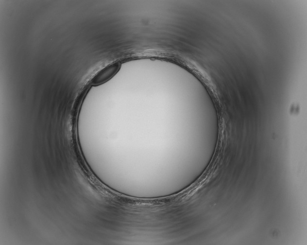 X0000090900298200707301017