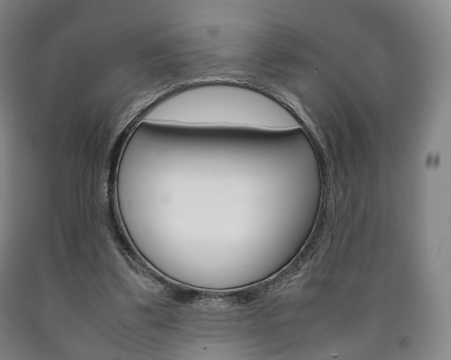 X0000090900299200707301017