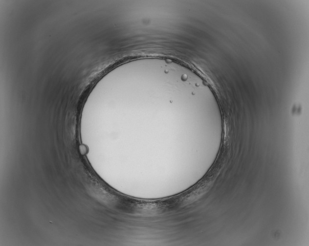 X0000090900301200707301017