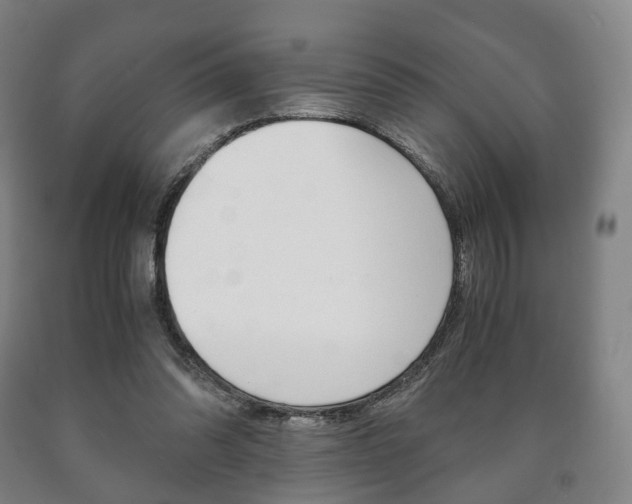 X0000090900302200707301017