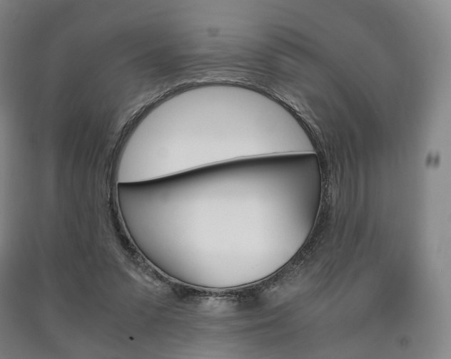 X0000090900303200707301017