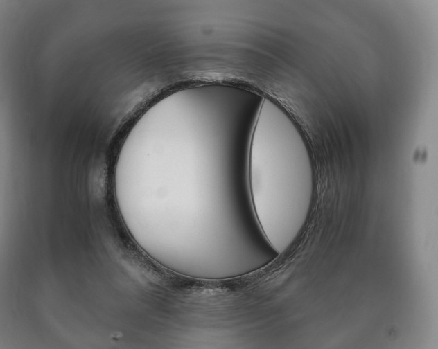 X0000090900304200707301017