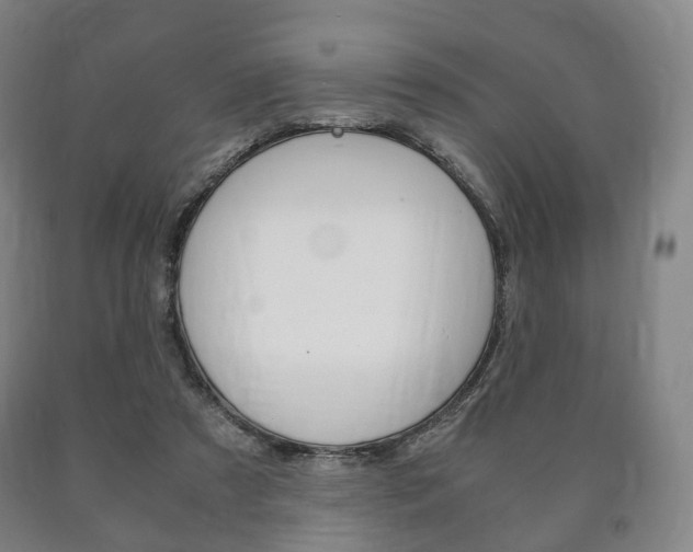 X0000090900305200707301017