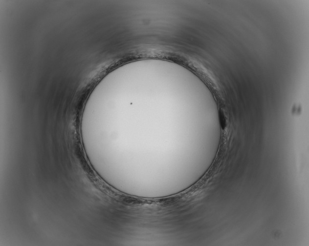 X0000090900306200707301017