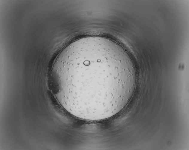 X0000090900307200707301017