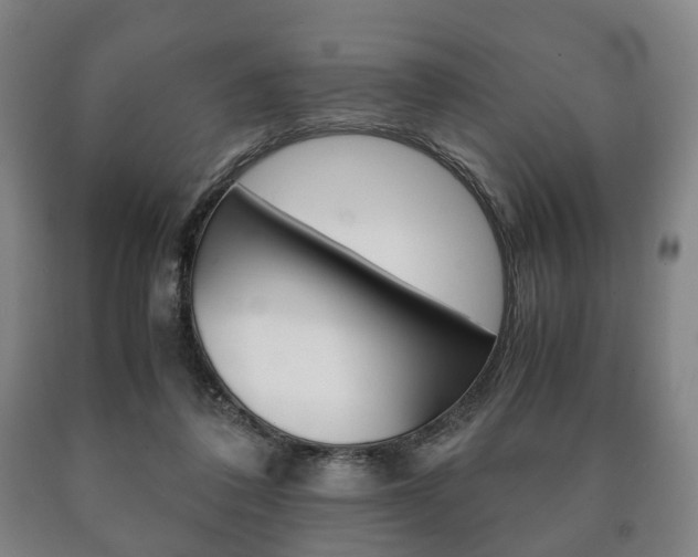 X0000090900308200707301017