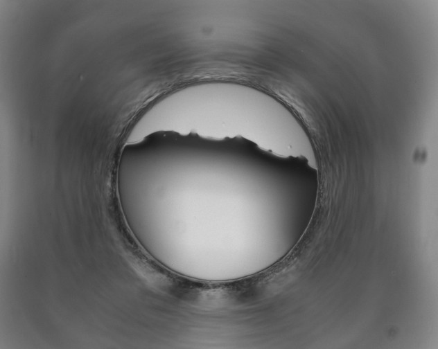 X0000090900309200707301017