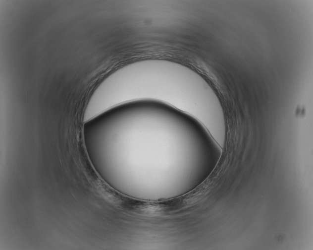 X0000090900313200707301017