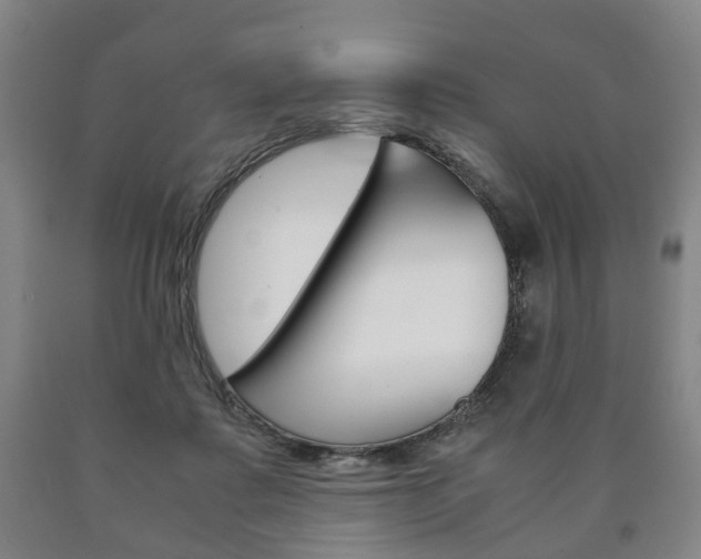 X0000090900315200707301017