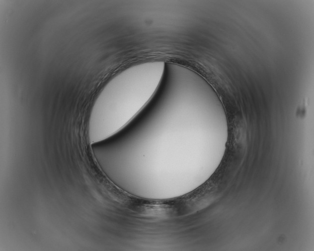 X0000090900316200707301017