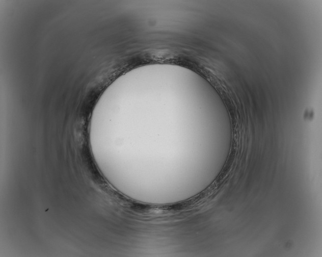 X0000090900319200707301017