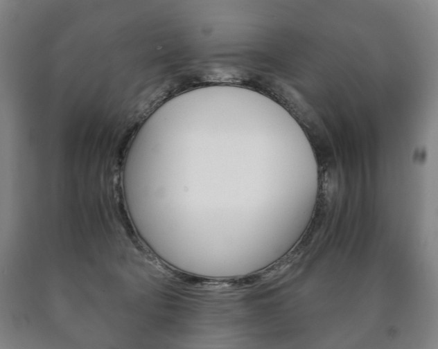 X0000090900322200707301017