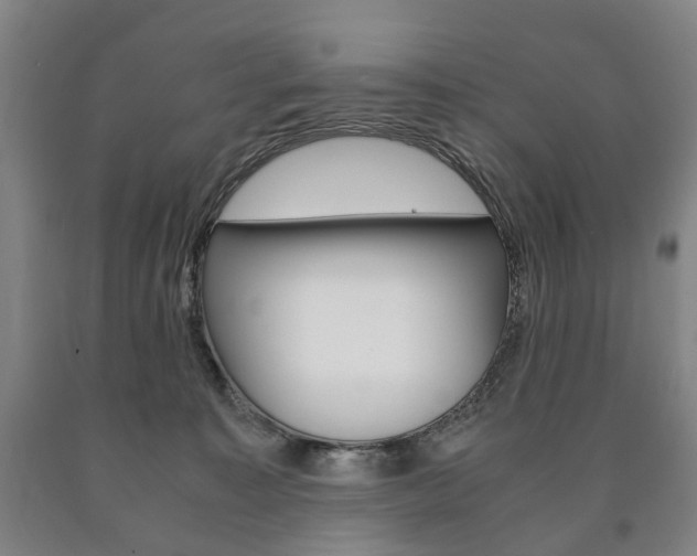 X0000090900323200707301017