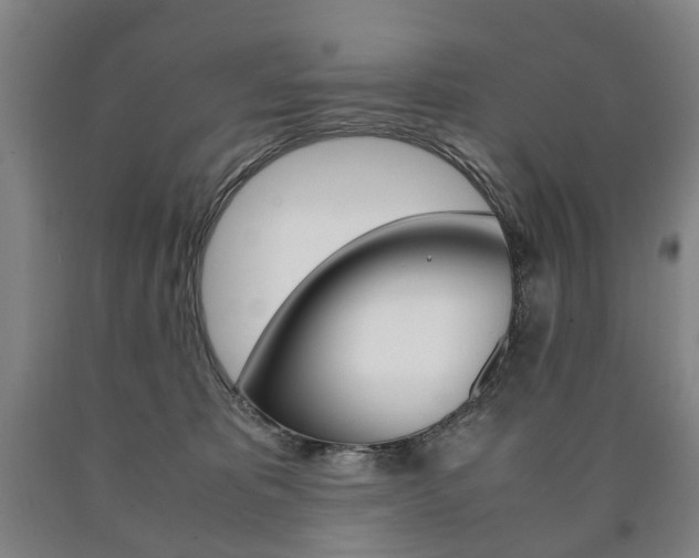 X0000090900325200707301016