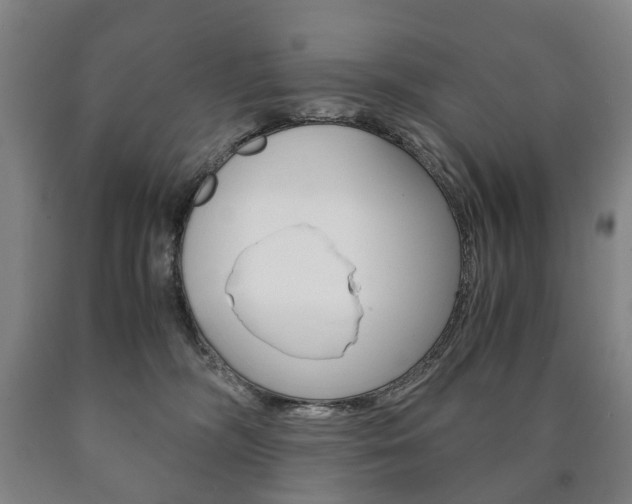 X0000090900326200707301016