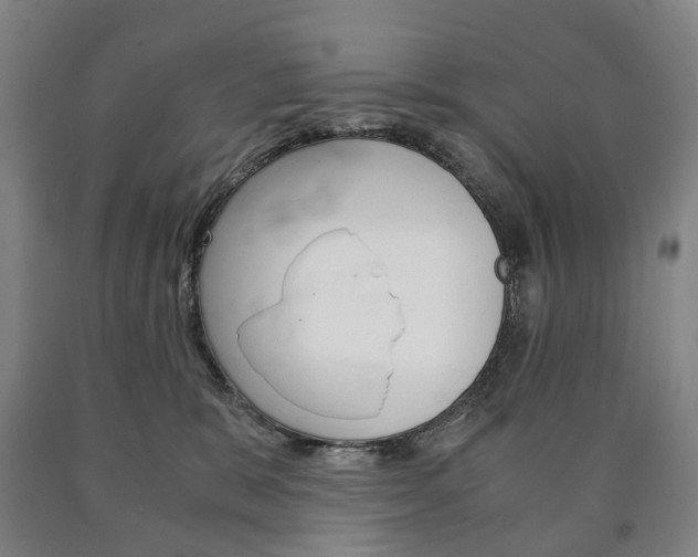 X0000090900327200707301016