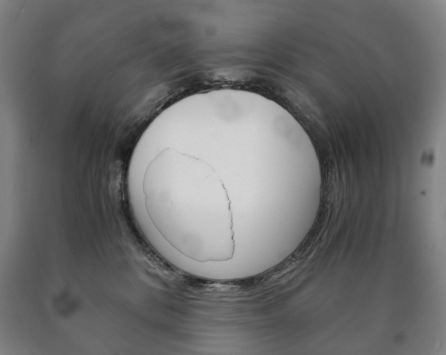 X0000090900328200707301016
