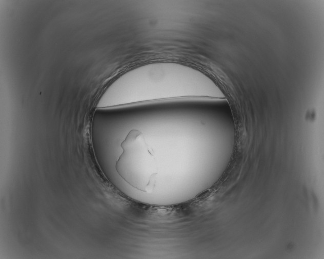 X0000090900329200707301016