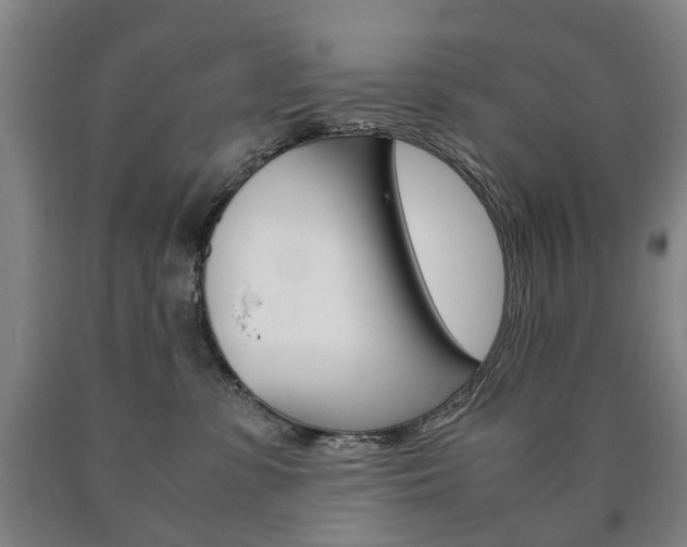 X0000090900331200707301016