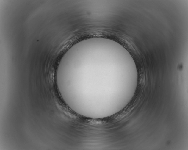 X0000090900332200707301016