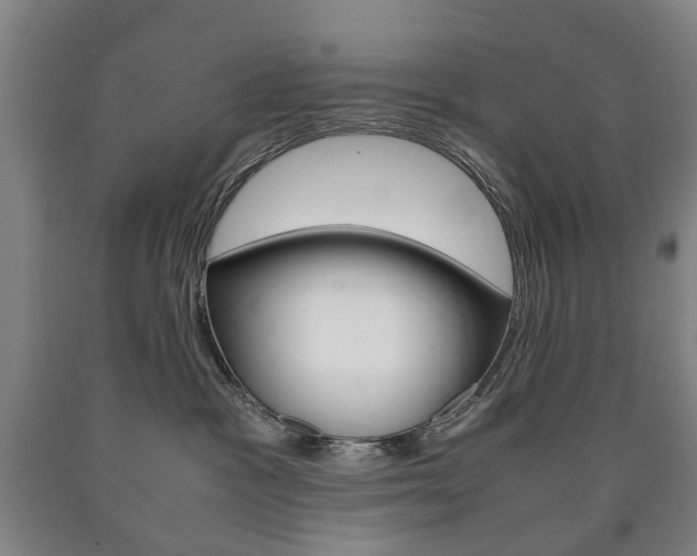 X0000090900333200707301016