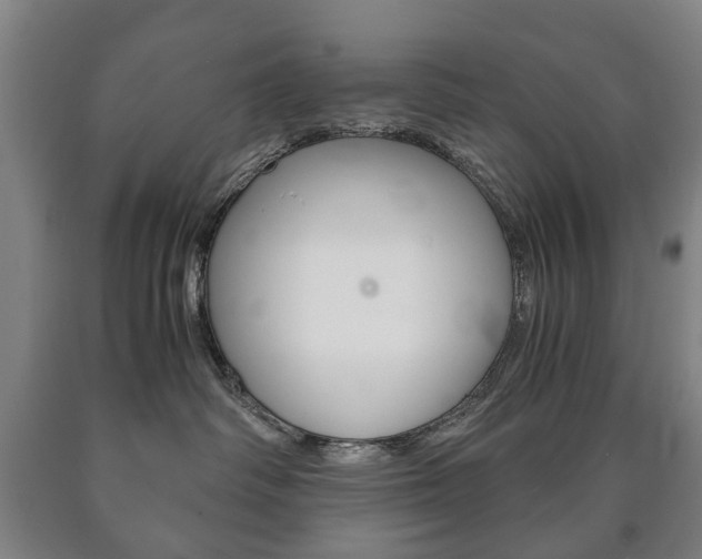 X0000090900334200707301016