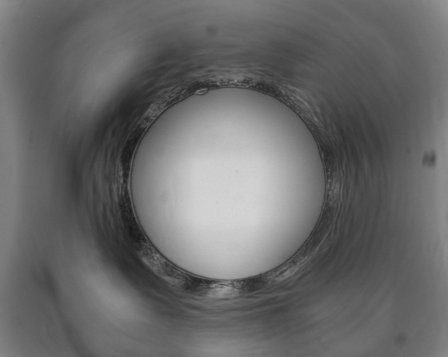X0000090900335200707301016
