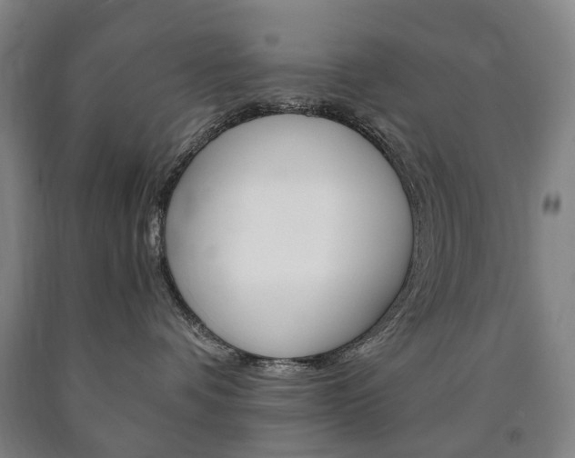 X0000090900336200707301016