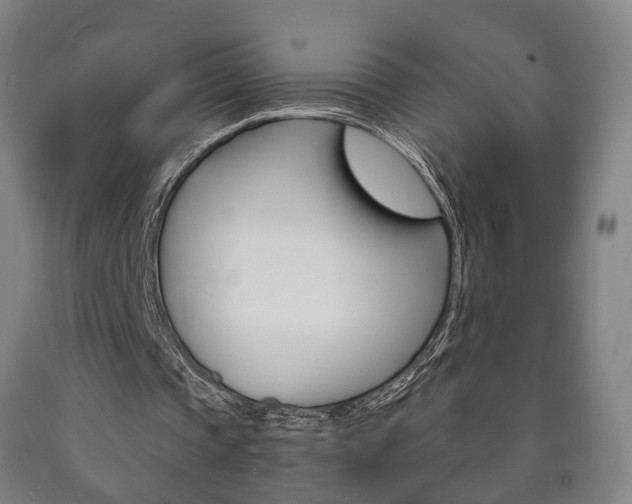 X0000090900337200707301016