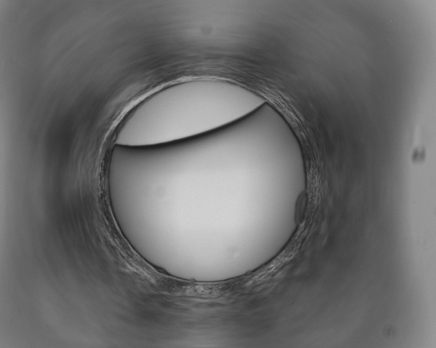 X0000090900338200707301016