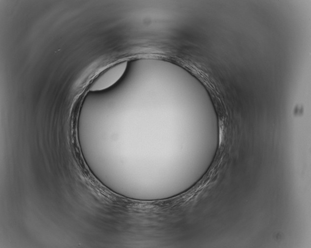X0000090900339200707301016