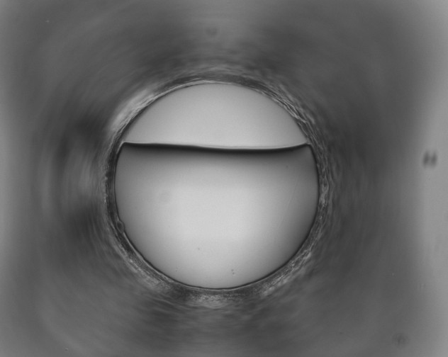 X0000090900341200707301016